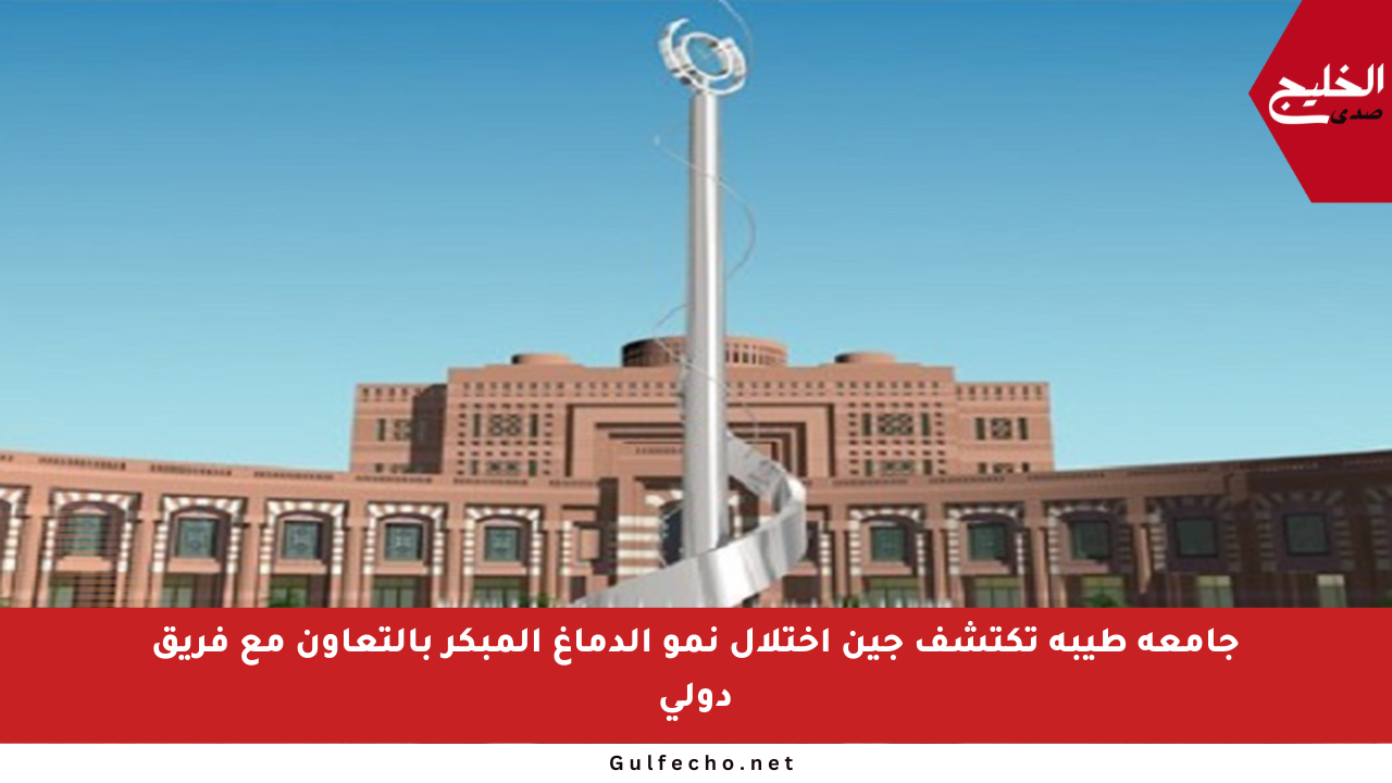 جامعة طيبة تكتشف جين اختلال نمو الدماغ المبكر بالتعاون مع فريق دولي
